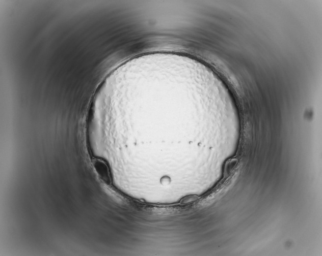 X0000103441425200810031403