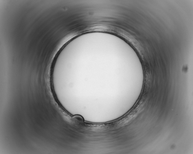 X0000103441426200810031403
