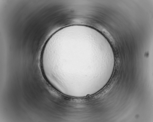 X0000103441427200810031403