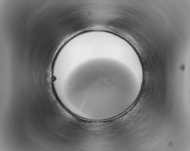 X0000103441428200810031403