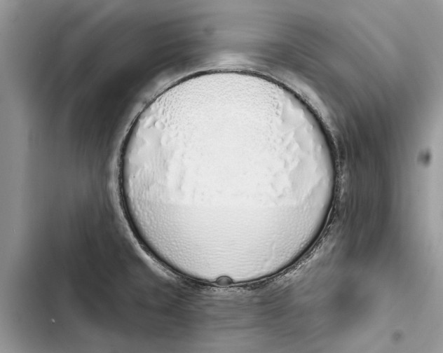 X0000103441429200810031403