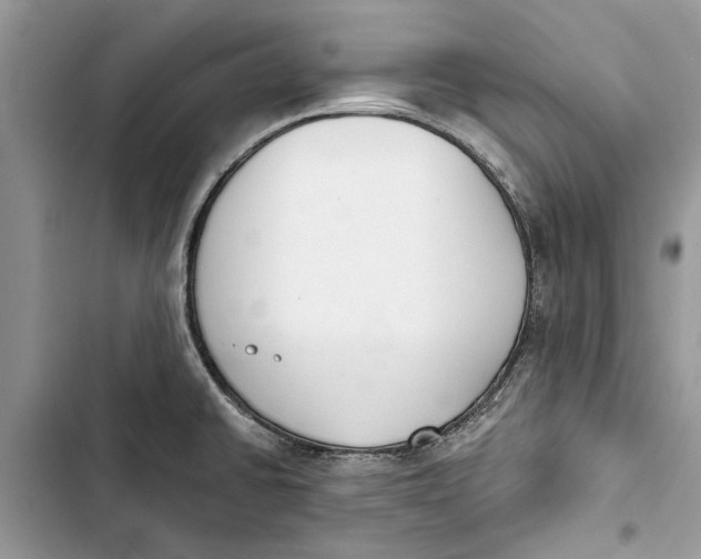 X0000103441430200810031403