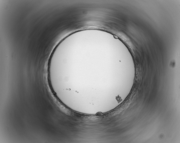 X0000103441431200810031403