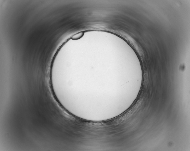 X0000103441432200810031403