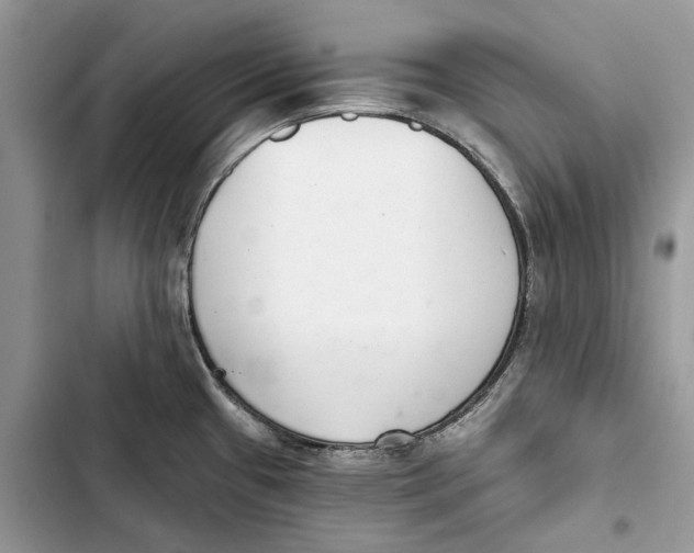 X0000103441433200810031403