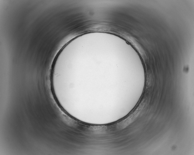 X0000103441434200810031403