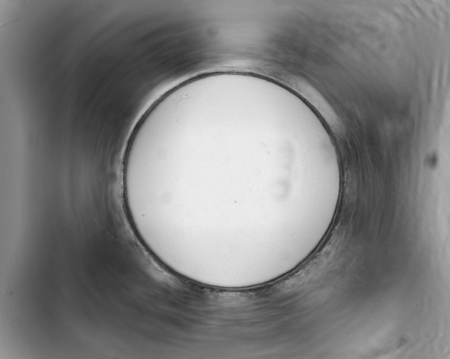 X0000103441436200810031403