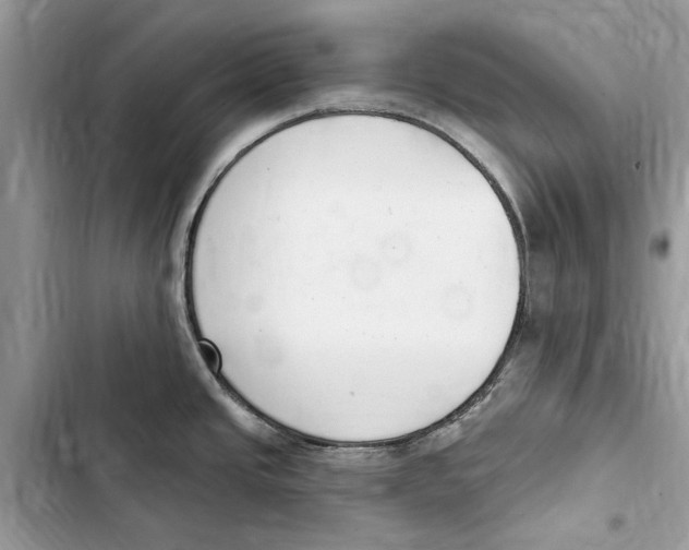 X0000103441437200810031403