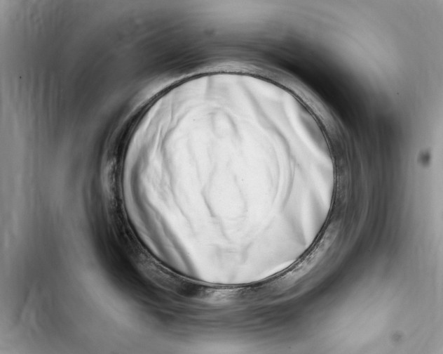 X0000103441438200810031403