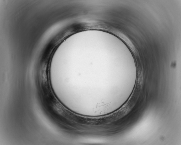 X0000103441439200810031403