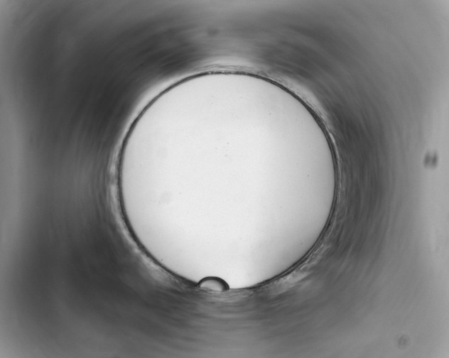 X0000103441440200810031403