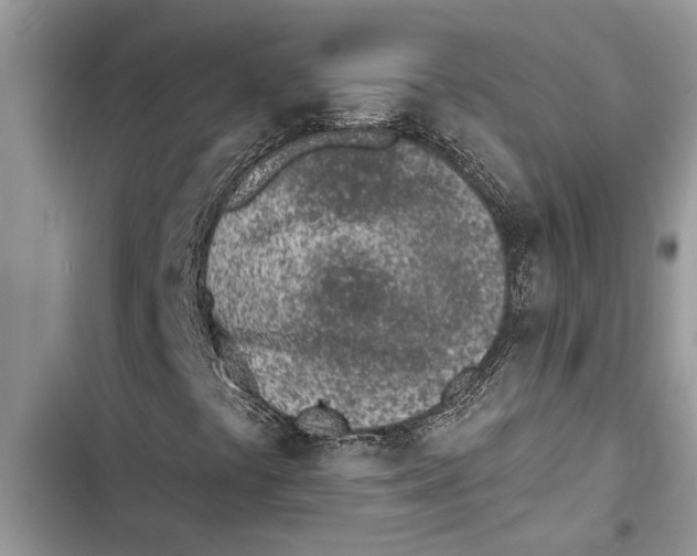 X0000103441441200810031402