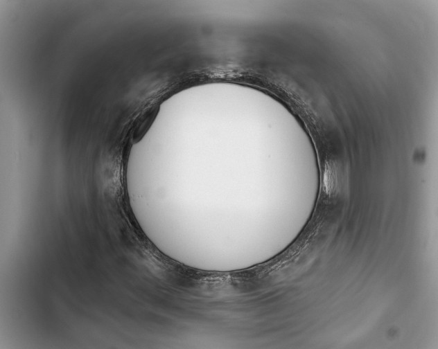 X0000103441444200810031402
