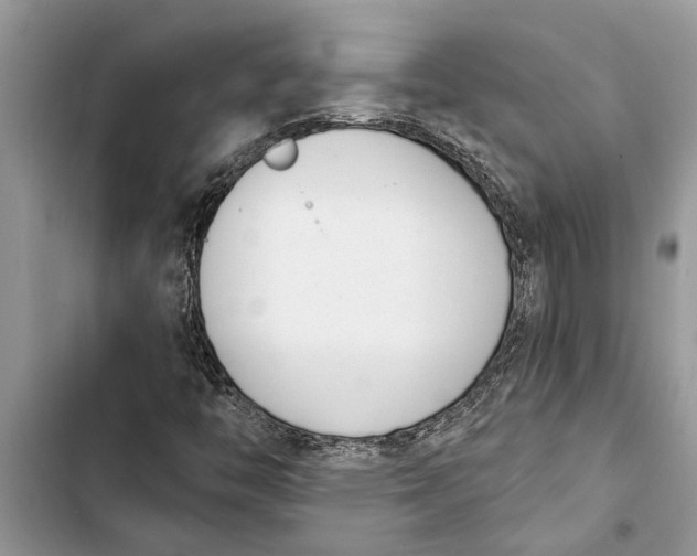 X0000103441446200810031402