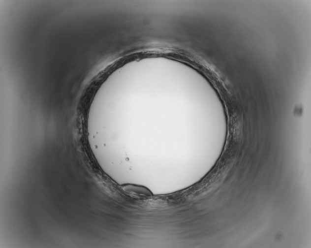 X0000103441448200810031402