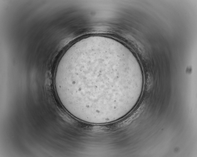 X0000103441449200810031402