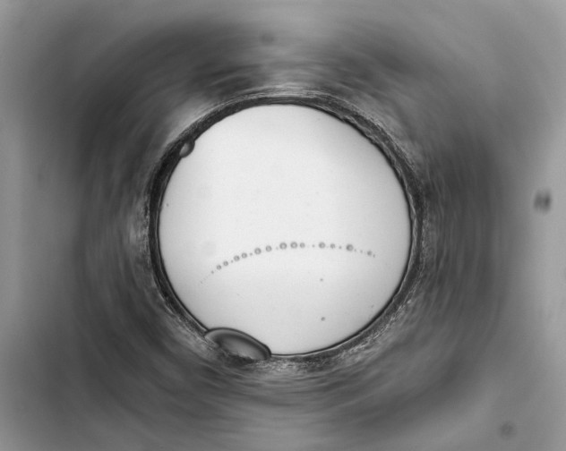 X0000103441450200810031402