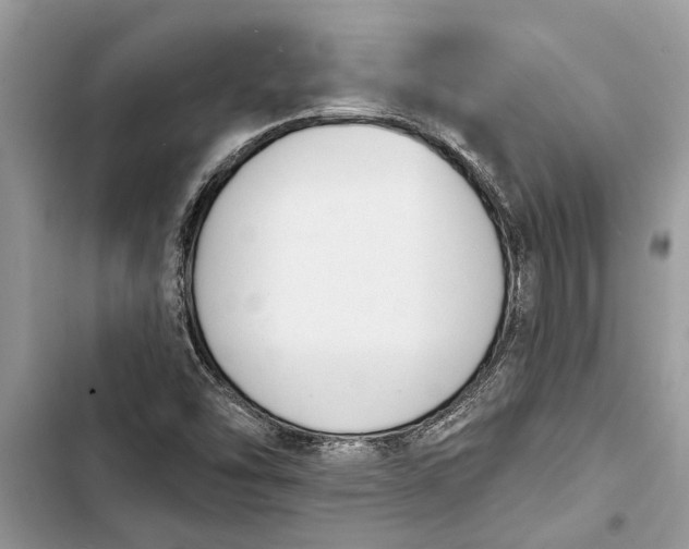 X0000103441454200810031402