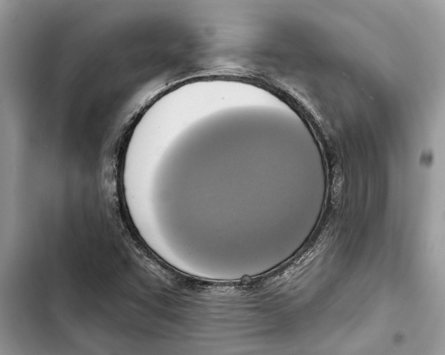 X0000103441455200810031402