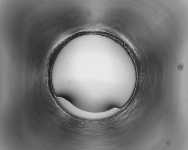X0000103441456200810031402
