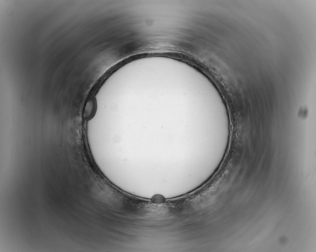 X0000103441457200810031402