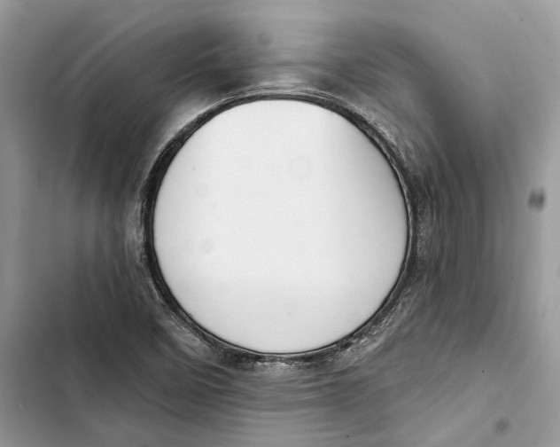 X0000103441458200810031402