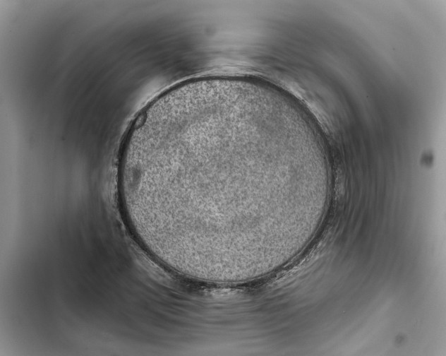 X0000103441459200810031402