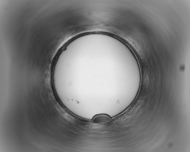 X0000103441460200810031402