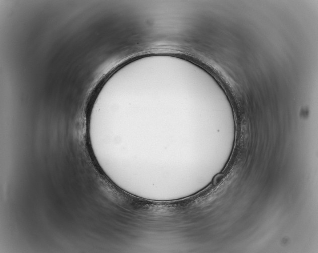 X0000103441461200810031402