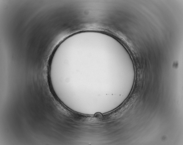 X0000103441463200810031402
