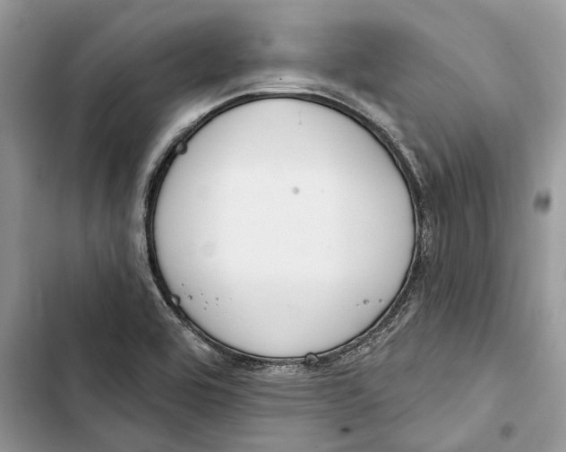 X0000103441464200810031402