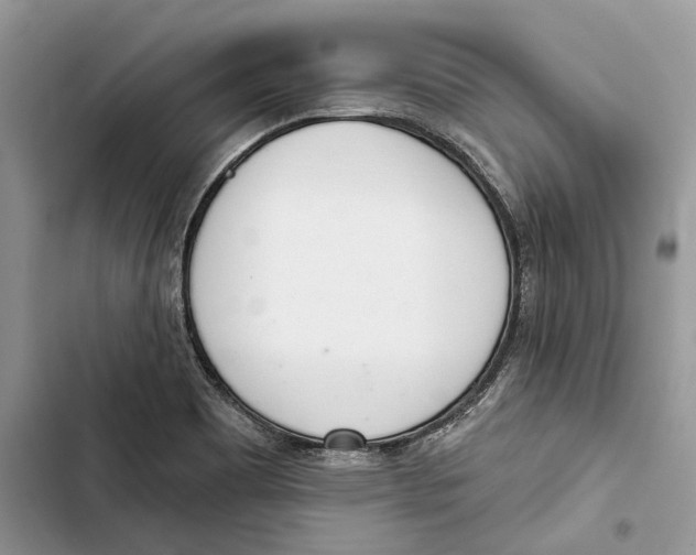 X0000103441465200810031402