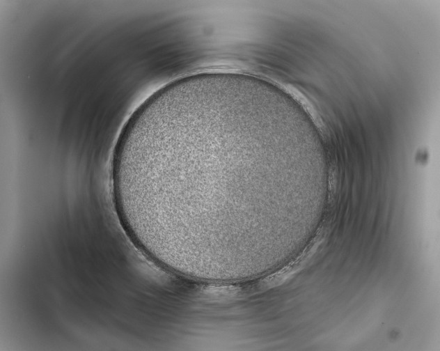 X0000103441466200810031402