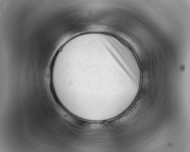 X0000103441467200810031402