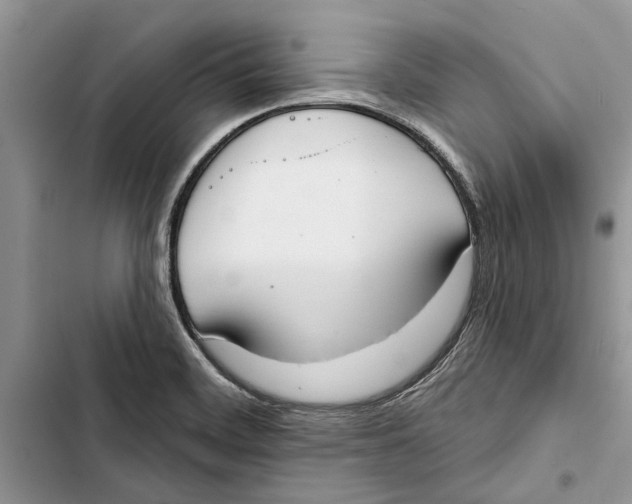 X0000103441468200810031402