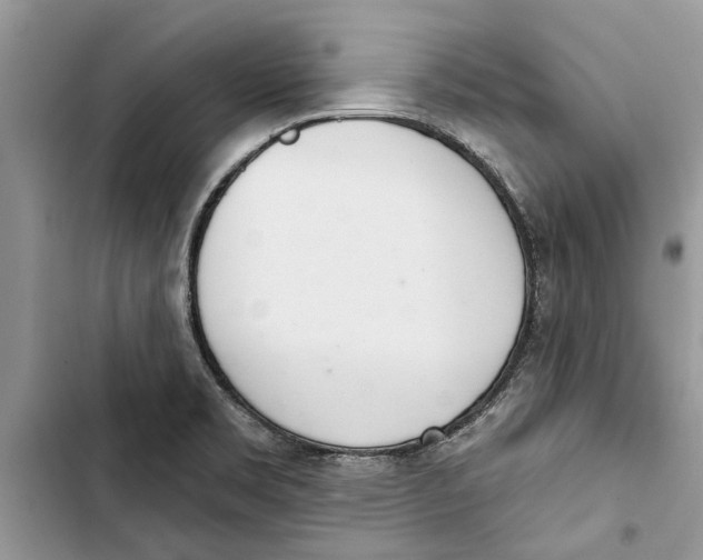 X0000103441469200810031402