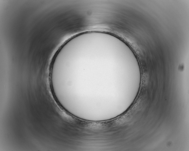 X0000103441470200810031402