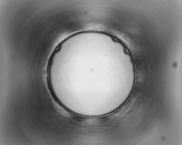 X0000103441471200810031402