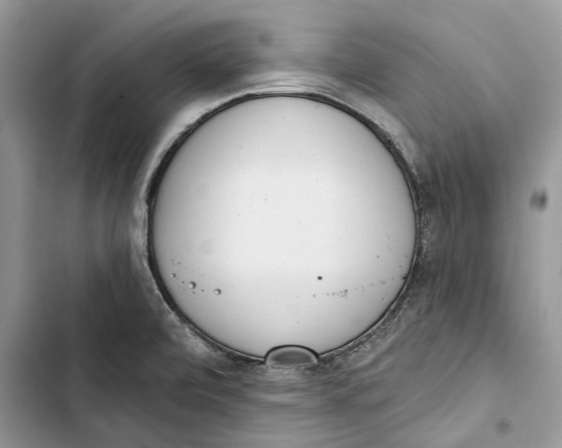 X0000103441472200810031402