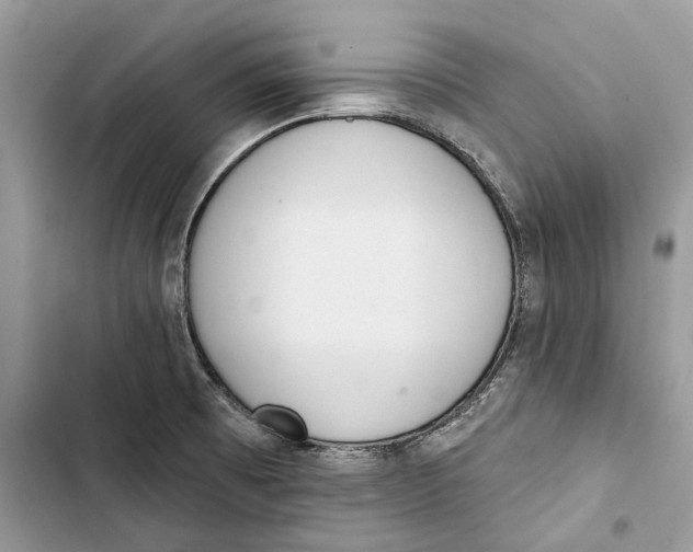 X0000103441473200810031402