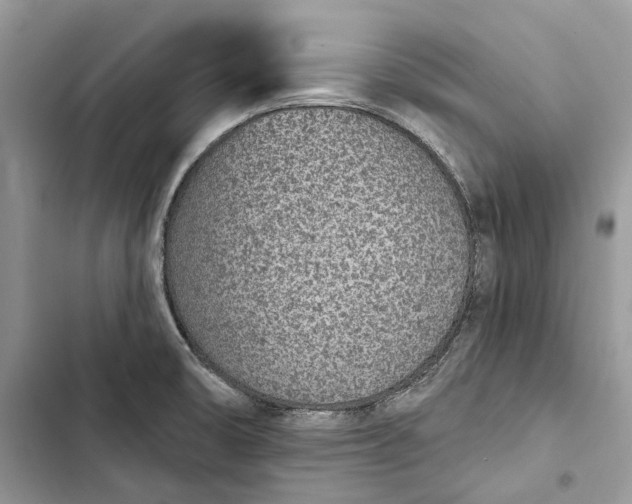X0000103441474200810031402