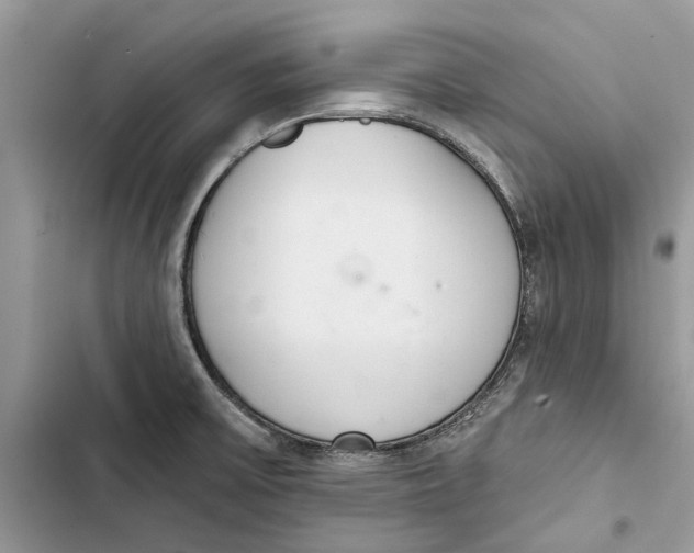 X0000103441475200810031402