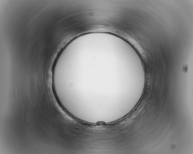 X0000103441476200810031402