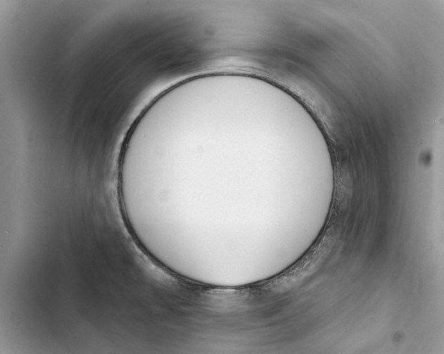 X0000103441478200810031402