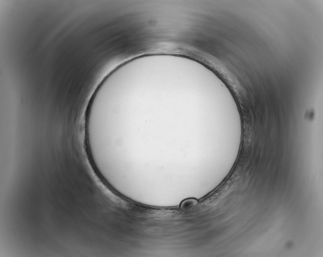 X0000103441479200810031402