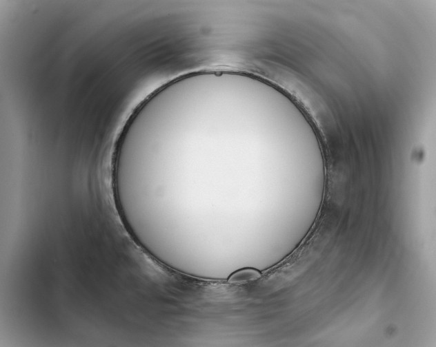 X0000103441480200810031402