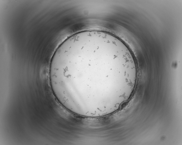 X0000103441481200810031402