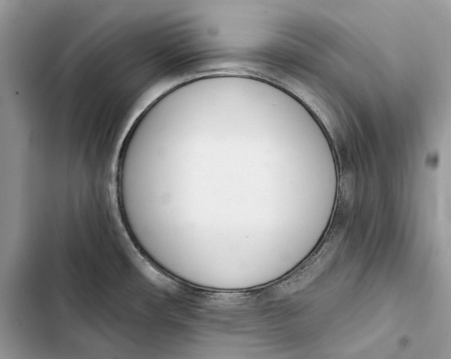 X0000103441482200810031402