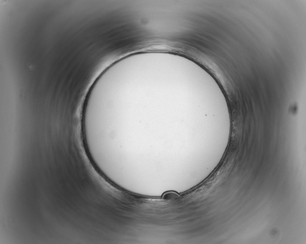 X0000103441483200810031402