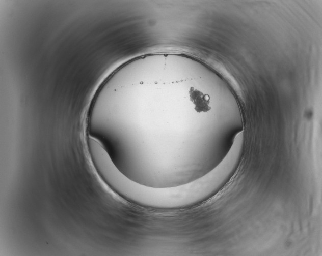 X0000103441484200810031402